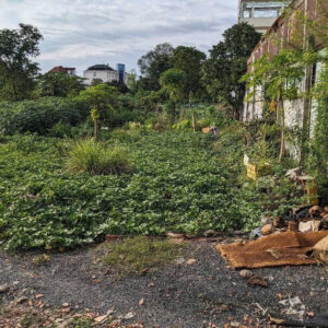 Bán đất Trần Thị Vững Dĩ An – 309m² chỉ 8 tỷ